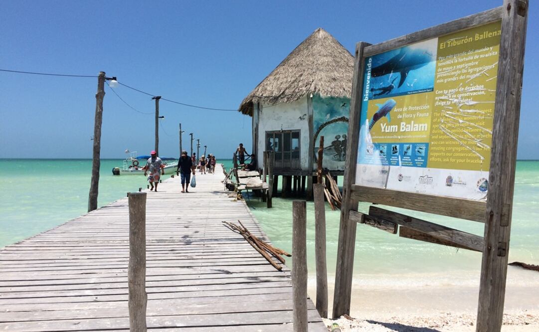 Foto: Adriana Varillas / EL UNIVERSAL