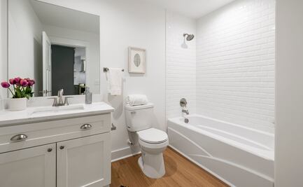 Las plantas que no debes poner en el baño si no tiene ventanas ni luz natural