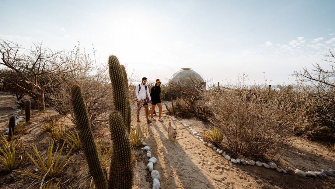 Foto: Quercus Baja Glamping