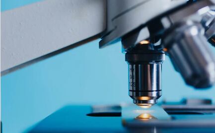 Usan AI para identificar el próximo virus que pasará de animales a humanos