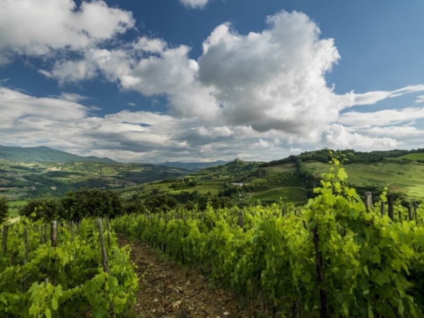 Montalcino, dónde comer y dormir cuando se visita este municipio italiano