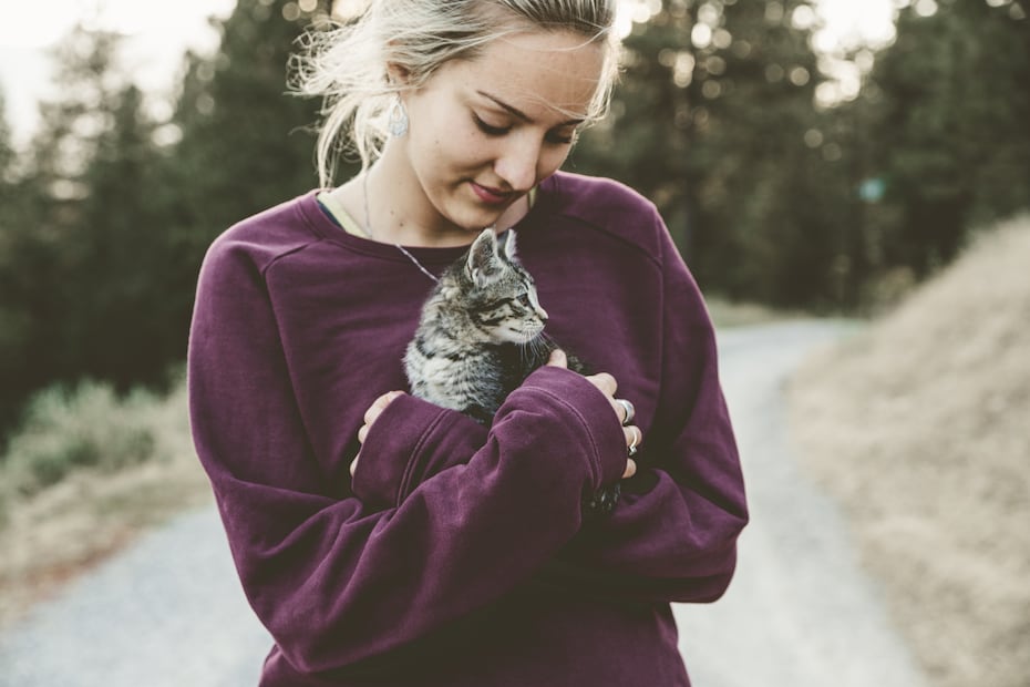 Se busca fomentar la adopción. (Foto: Unsplash)
