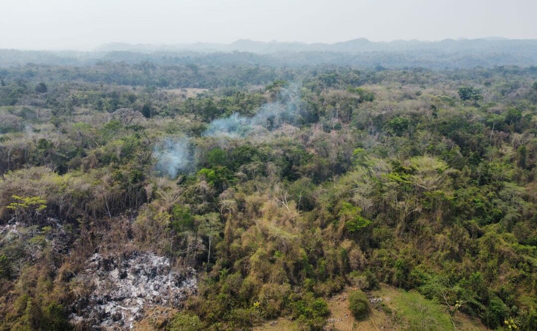 Un total de nueve incendios forestales azotan diversas regiones de Veracruz. Foto: Secretaría de Protección Civil de Veracruz