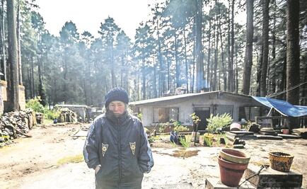 En alerta roja, 6 delegaciones por bajas temperaturas