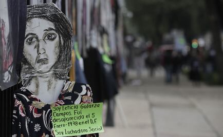 Celebra ONU entrada en vigor de la Ley de Desaparición