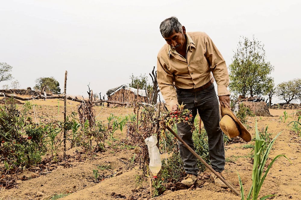 Trabajadores del campo en la capital del país han optado por vender sus tierras ante el árido panorama. Foto: de Jorge Medellín. El Universal