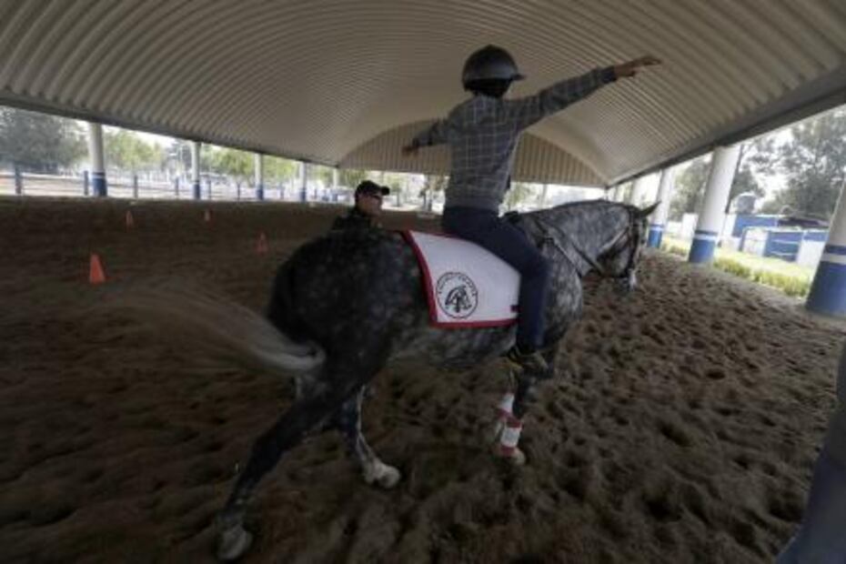 Caballos policías ayudan a niños con autismo