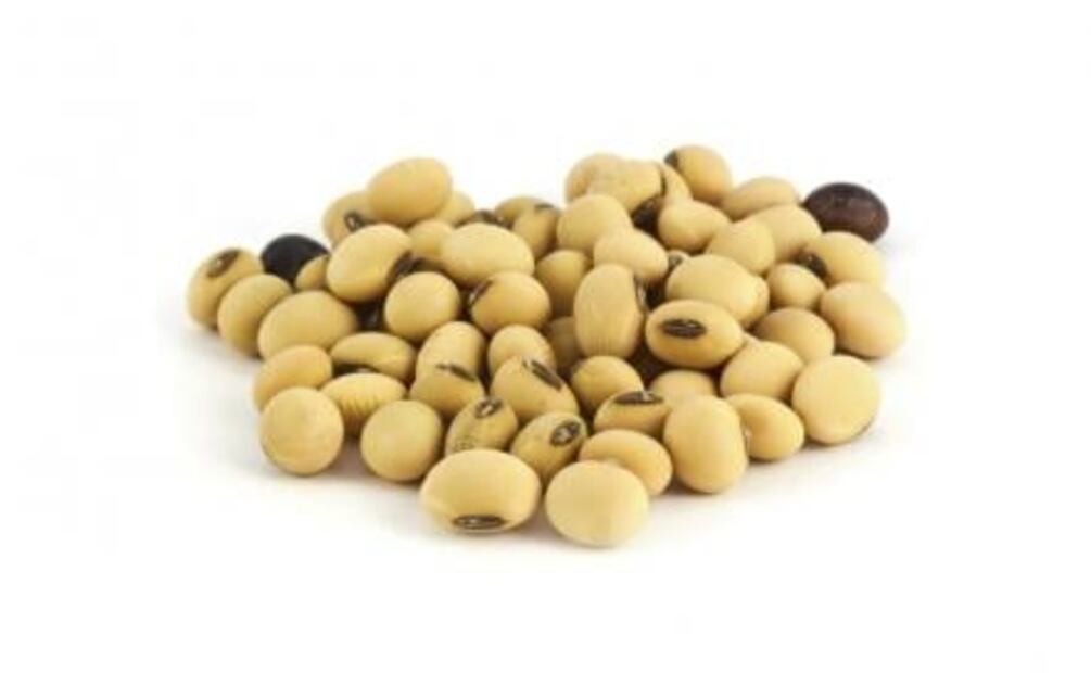 Alimentos para prevenir el cáncer de mama
