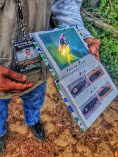 Quédate en este glamping y aprovecha los últimos días para ver luciérnagas
