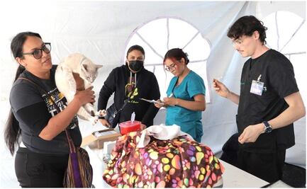 Administración de Lía Limón en Álvaro Obregón realizó 112 Jornadas de Salud Veterinaria; 5 mil animales fueron atendidos