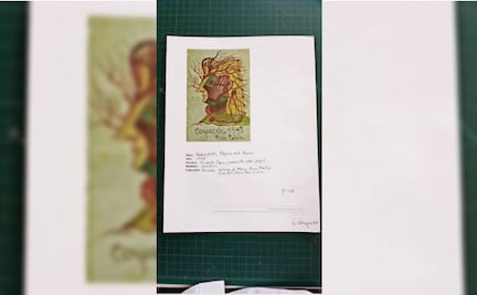 Diario de Frida: Sin investigación el caso de páginas faltantes 