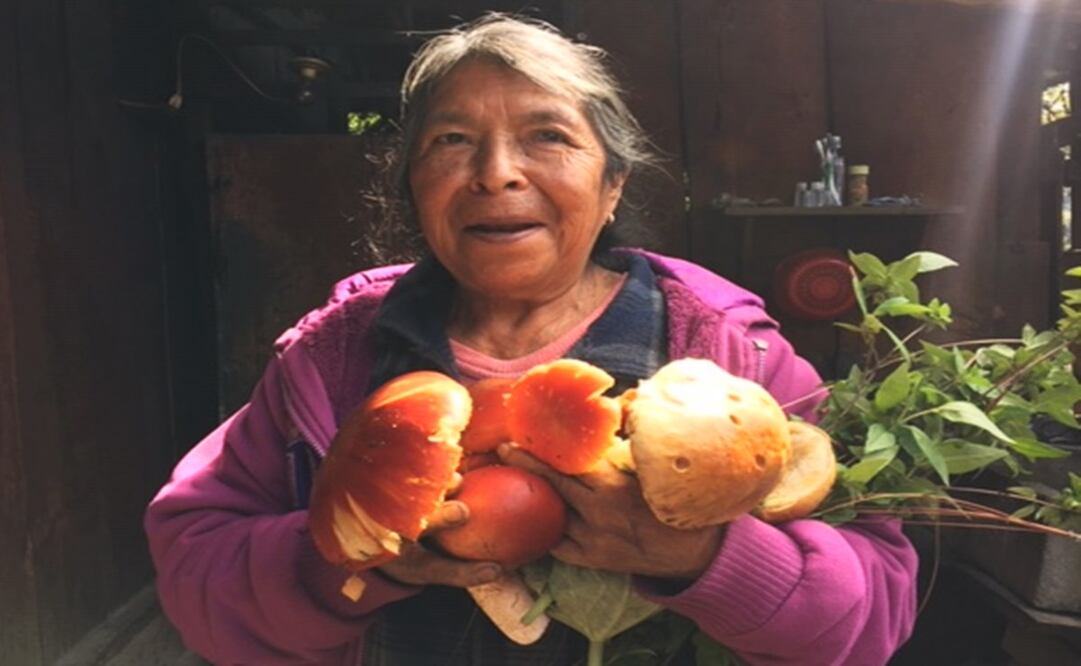Fotos: cortesía Osvaldo Sandoval