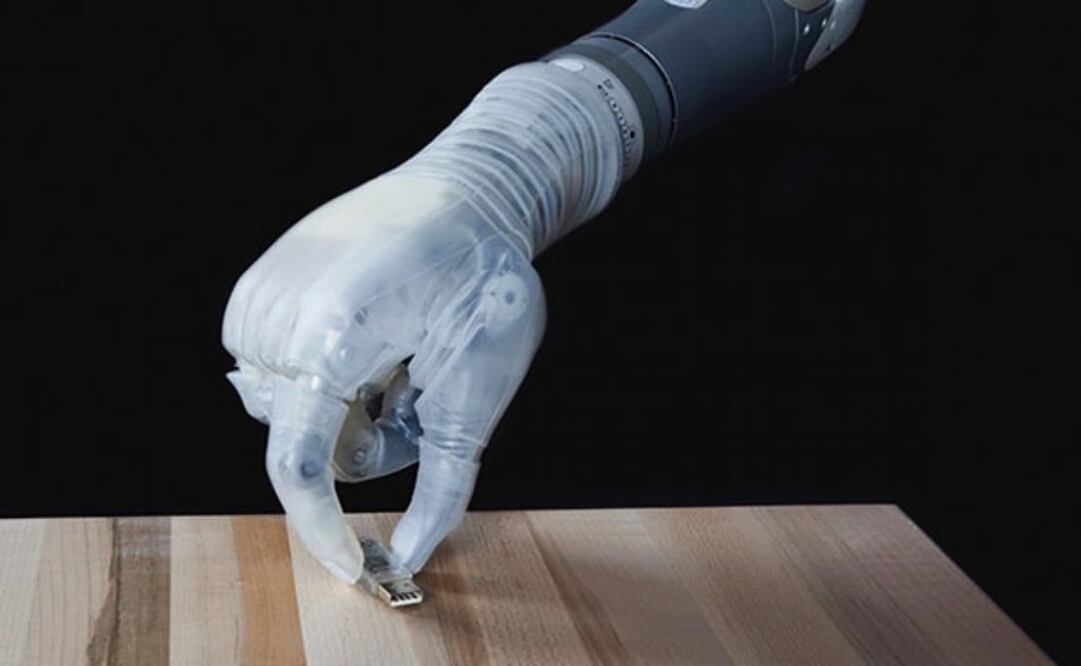 Foto: Universidad de Utah