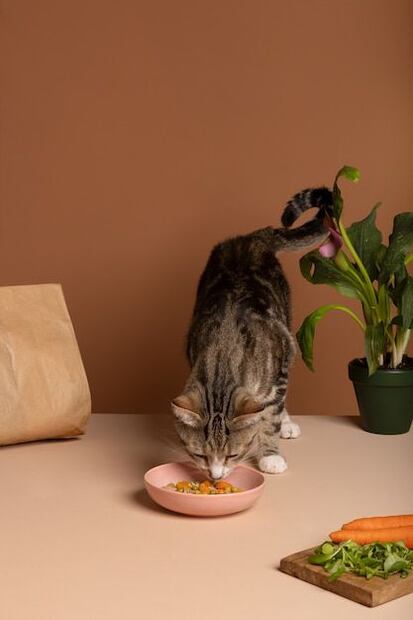 La vitamina A es indispensable para la salud de los gatos. Fuente: Freepik.