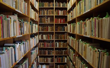 Escritora duerme a millones con sus historias