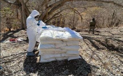Golpe al narcotráfico en Sinaloa; Ejército y Marina aseguran químicos y destruyen plantíos
