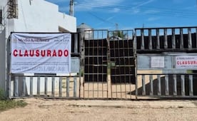 Profepa clausura granja porcícola en Yucatán; empresa no permitió inspección