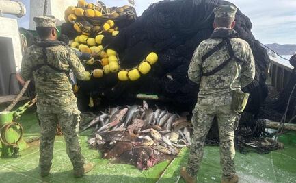 Decomisan más de 4 mil toneladas de pesca ilegal en 18 estados; Marina y Conapesca refuerzan operativos en todo el país