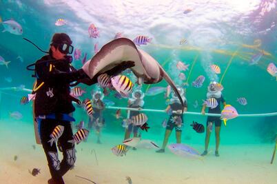 Las 7 mejores actividades del parque Xel-Há