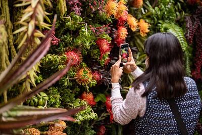 FYJA 2024: el Festival de Flores y Jardines estrena segunda sede