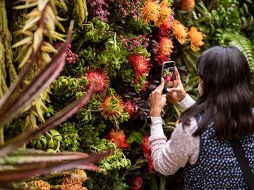 FYJA 2024: el Festival de Flores y Jardines estrena segunda sede