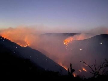 Cumple seis días incendio forestal en sierra de Tepechitlán, Zacatecas; siniestra 4 mil 300 hectáreas