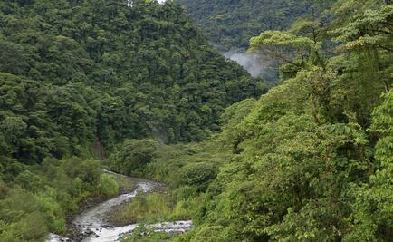 Biodiversidad para el desarrollo sustentable