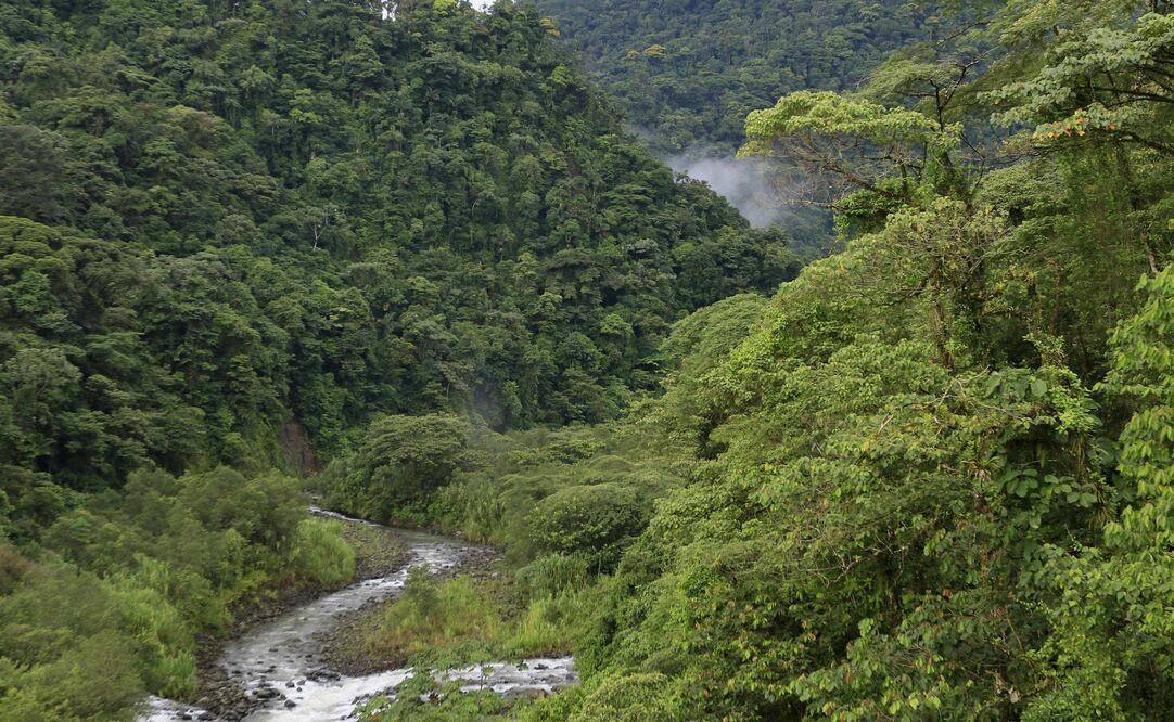 El investigador indica que este tipo de estudios pueden propiciar la innovación en sustentabilidad por parte de las instituciones educativas. (FOTO: Archivo/ EL UNIVERSAL)
