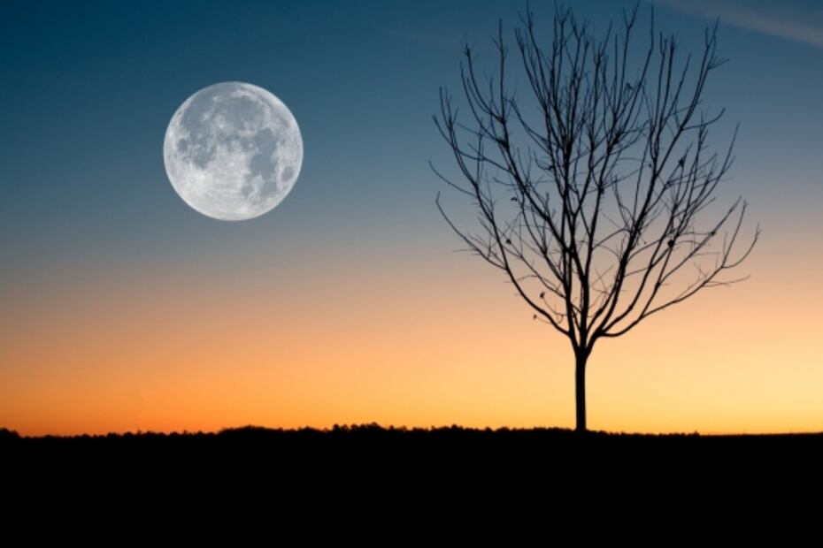 Superluna de gusanos, el fenómeno astronómico que se verá este fin de semana