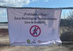 Tras irrupción de creadora de contenido en Reserva de Celestún, refuerzan protección del flamenco; restringen ingreso a zonas de anidación