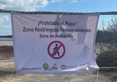 Tras irrupción de creadora de contenido en Reserva de Celestún, refuerzan protección del flamenco; restringen ingreso a zonas de anidación