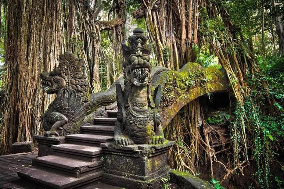 Foto: Bali Driver Seminyak - Private Day Tours