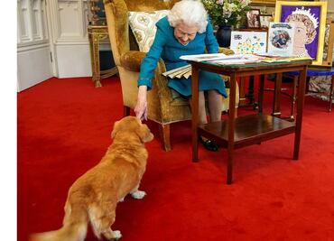 Los "huérfanos" de la reina Isabel II, sus corgis, son adoptados por el príncipe Andrés