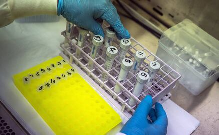 Ómicron, ¿por qué evoluciona tan rápido el virus?