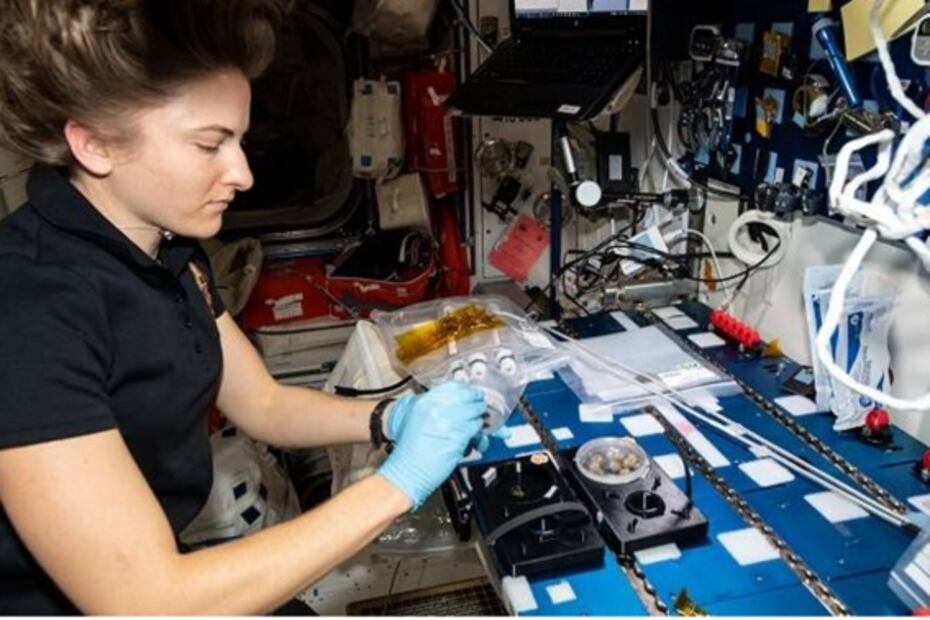 Estas son las mujeres que comandan la Estación Espacial Internacional