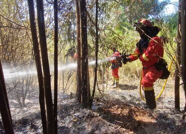 Incendios reviven con fuerza en sur de Chile y gobierno reconoce preocupación
