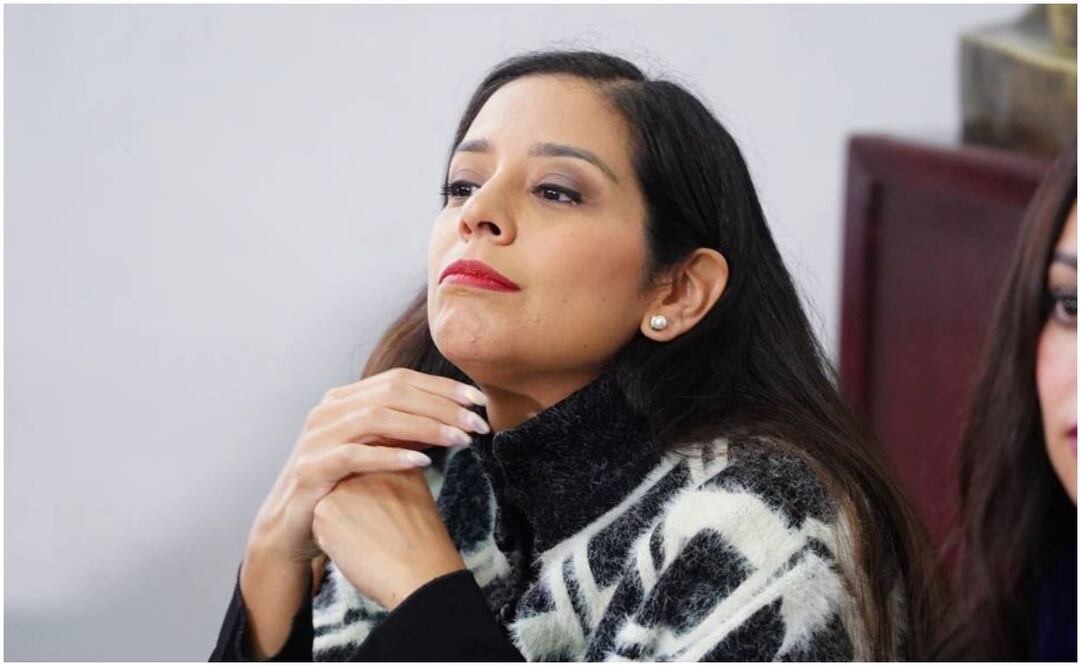 Diputada local del PAN, Luisa Gutiérrez. Foto: Especial