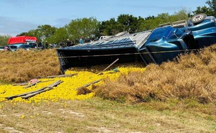 Vuelca camión con 15 toneladas de naranja en Tamaulipas; muere un trabajador y 11 resultan lesionados