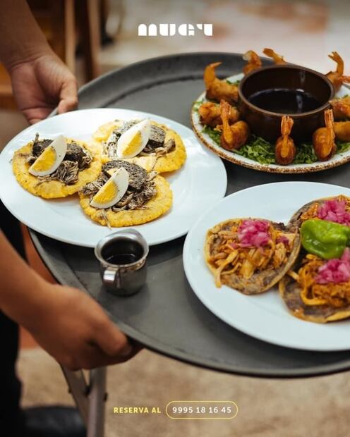 5 restaurantes imperdibles en Mérida, Yucatán