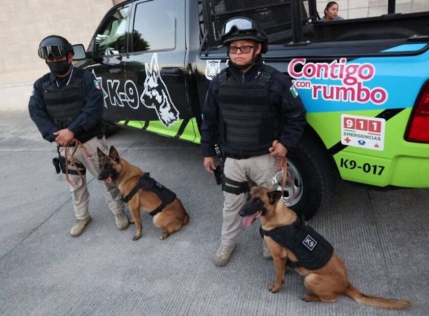 Se incorporan diez agentes caninos a tareas de seguridad en Puebla