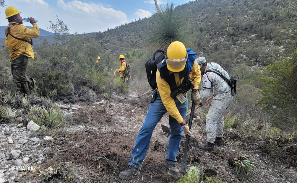 Incendio forestal consume 240 hectáreas de vegetación en NL. Foto: Especial