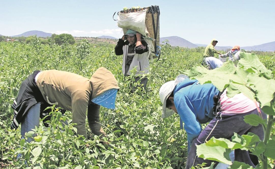 Foto: Archivo/EL UNIVERSAL 