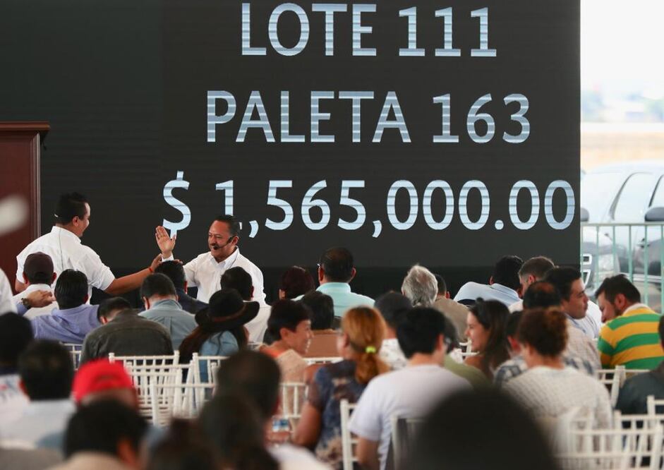 Primer subasta donde el gobierno federal remata vehículos oficiales (ARCHIVO. EL UNVERSAL)