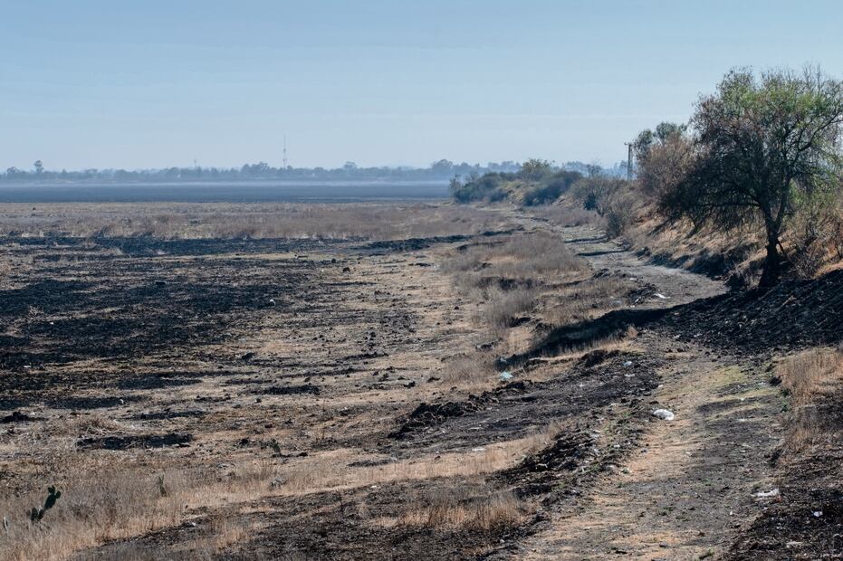 El sitio que tenía una función reguladora del clima y de recarga de acuíferos está seco, con basura, “no es más que un vaso regulador de las aguas del drenaje del Valle de México”, dice biólogo de la UNAM. Foto: Abril Angulo | El Universal