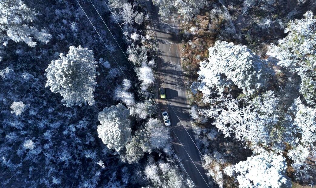 La onda gélida que experimenta Estados Unidos se resiente también este 22 de enero de 2025 en el norte de México, donde se registran temperaturas bajo cero, caída de nieve o aguanieve y lluvia congelante. Foto: @PC_NuevoLeon