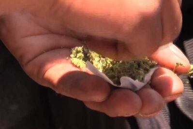 Así celebran día mundial de la marihuana