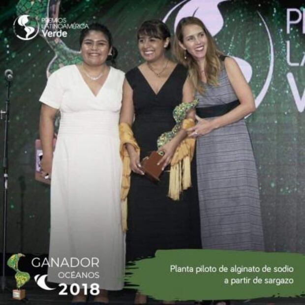 Jóvenes crean planta para reciclar sargazo