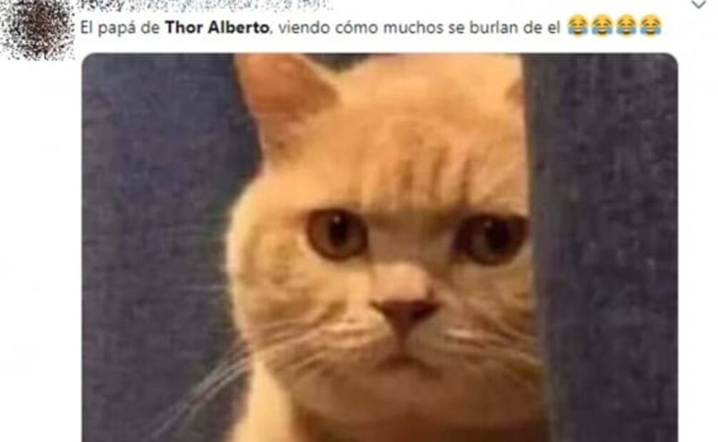 Los mejores memes que dejó "Thor Alberto" en redes sociales 