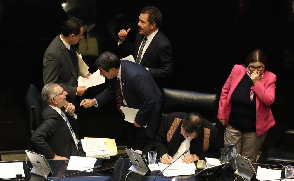 Sesión en el senado este 10 de octubre de 2024. Foto: Diego Simón Sánchez/EL UNIVERSAL