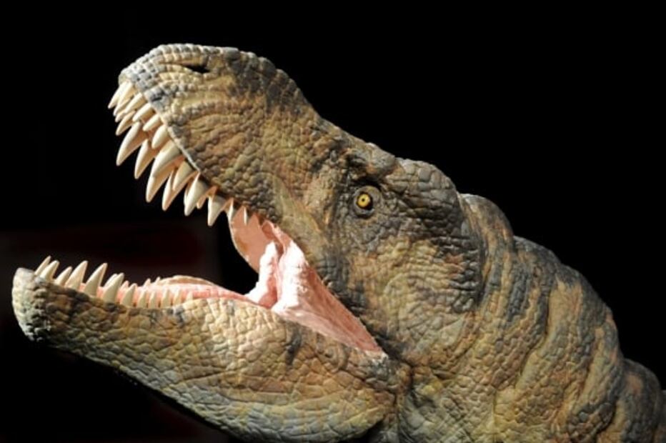 El T Rex caminaba a la velocidad del ser humano y actuaba como lobo